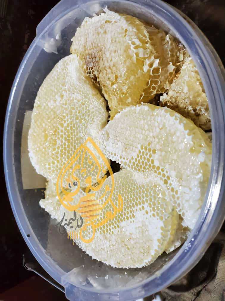 عسل الصال الابيض